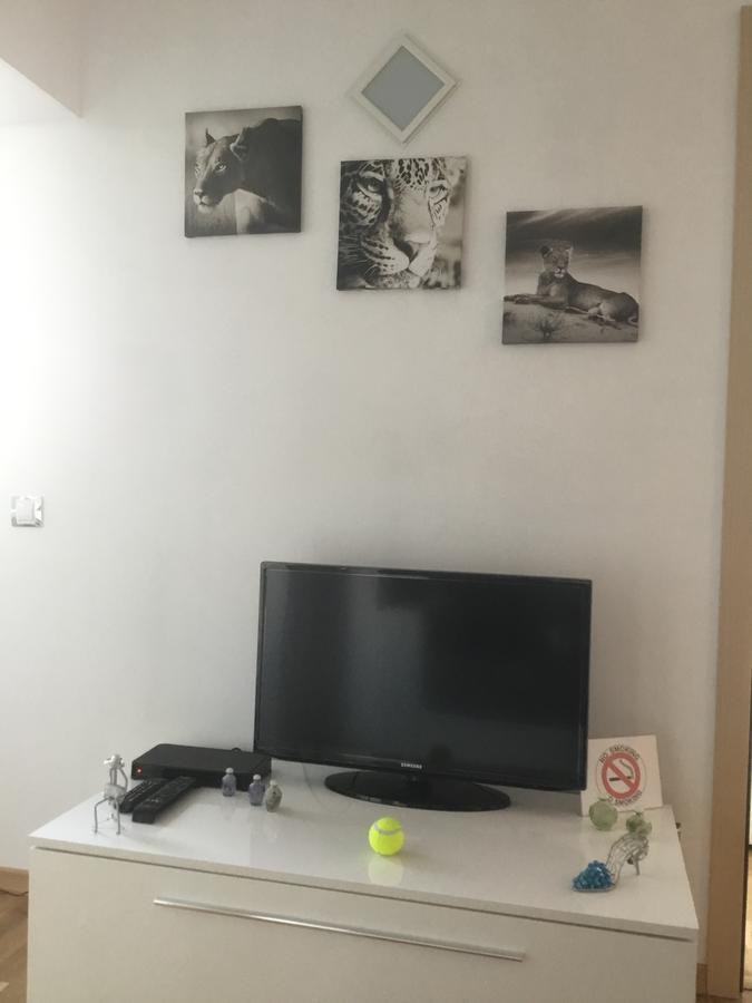 White Dream Suites Iasi Buitenkant foto